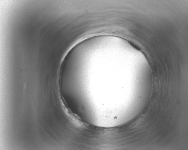 X0000068301530200605051920