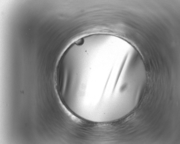 X0000068301531200605051920