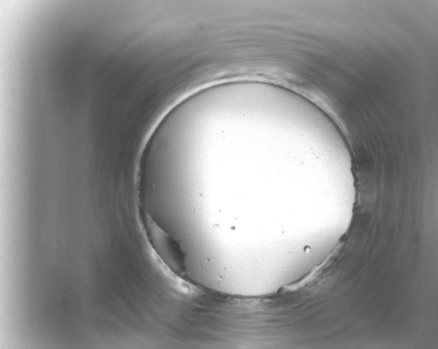 X0000068301532200605051920