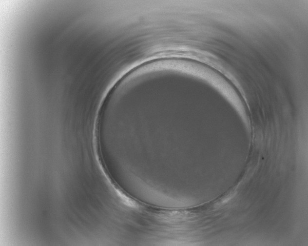 X0000068301533200605051920