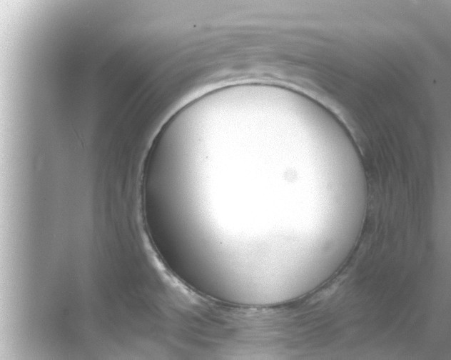 X0000068301534200605051920