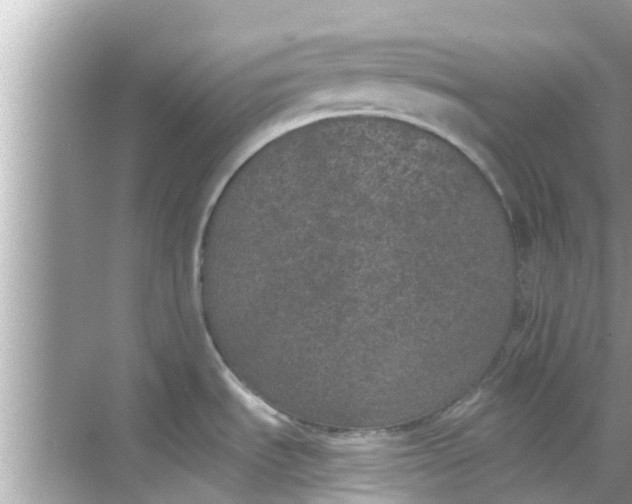 X0000068301535200605051920