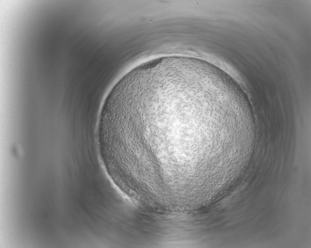 X0000068301536200605051920