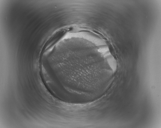 X0000068300002200605122016