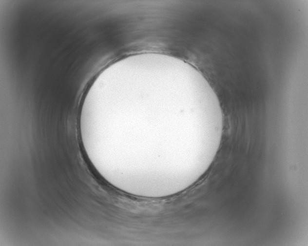 X0000068300004200605122016