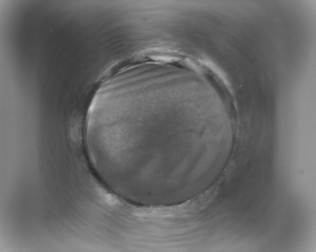 X0000068300009200605122016