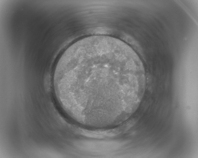 X0000068300012200605122016