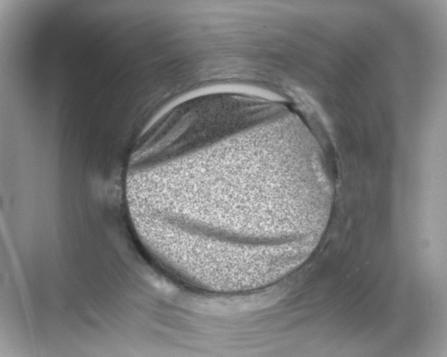 X0000068300017200605122016