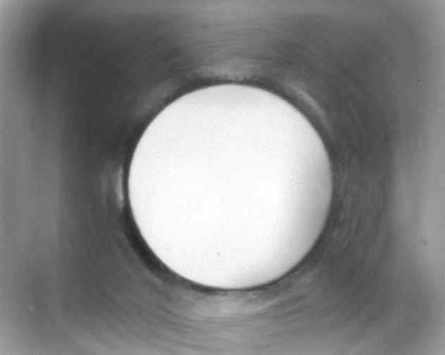 X0000068300020200605122016