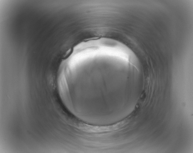 X0000068300031200605122015