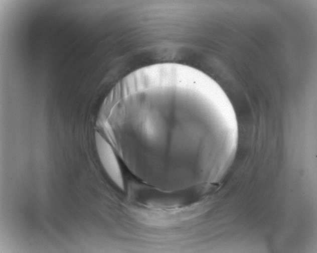 X0000068300035200605122015