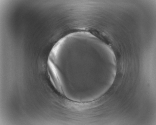 X0000068300039200605122015