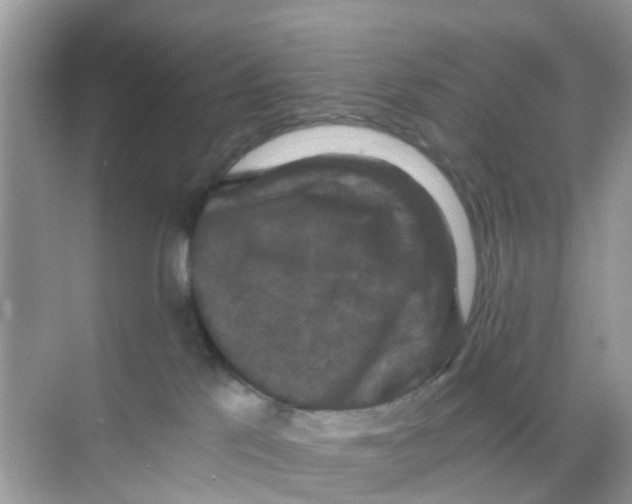 X0000068300041200605122015