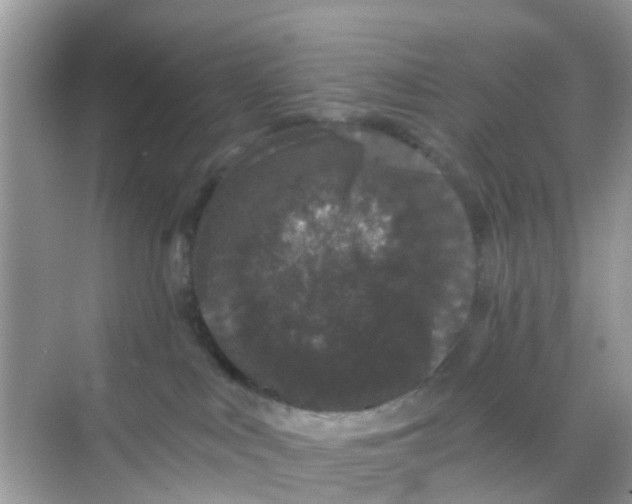 X0000068300043200605122015