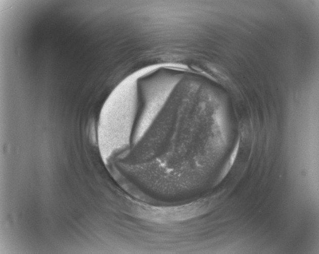 X0000068300046200605122015