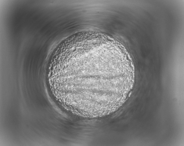 X0000068300049200605122014