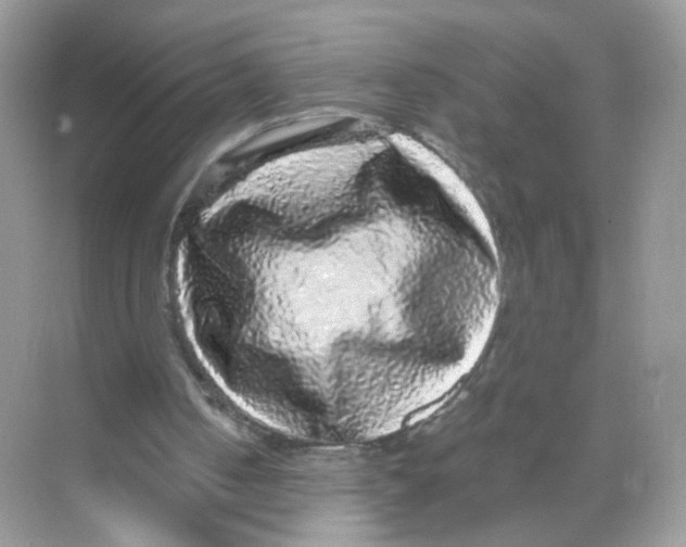 X0000068300050200605122014