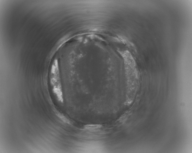 X0000068300051200605122014