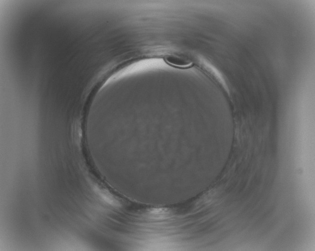X0000068300059200605122014