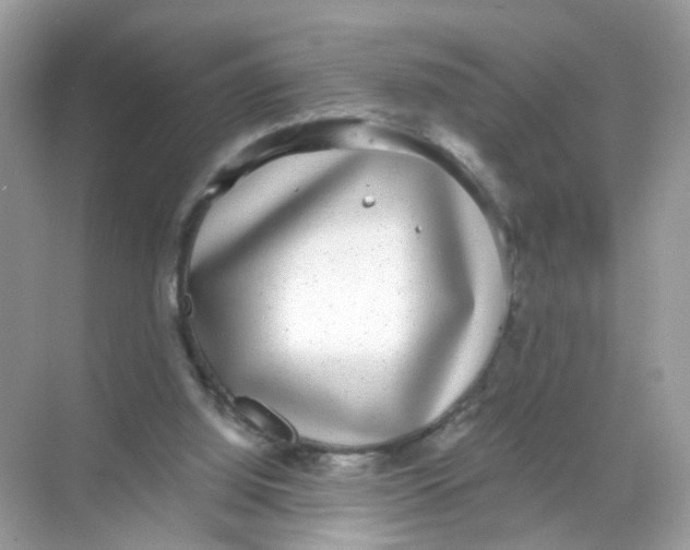 X0000068300060200605122014