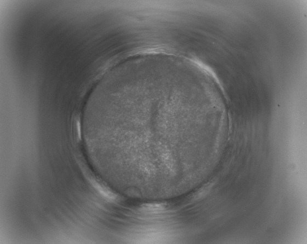 X0000068300061200605122014