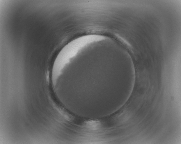 X0000068300067200605122015