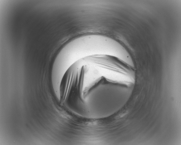 X0000068300068200605122015