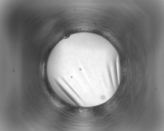 X0000068300070200605122015