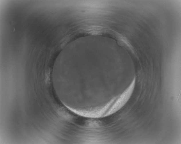 X0000068300073200605122015