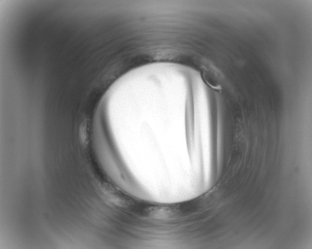 X0000068300074200605122015