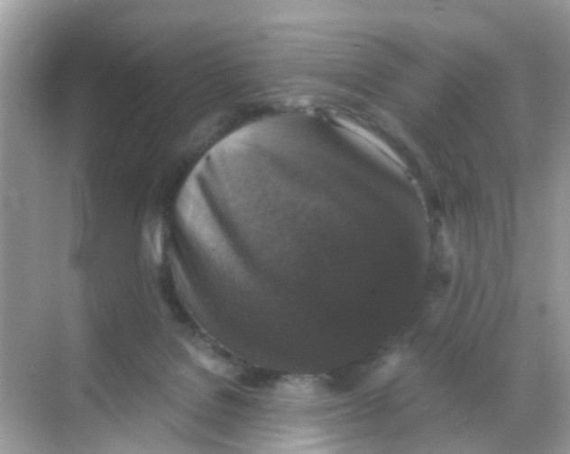X0000068300076200605122015