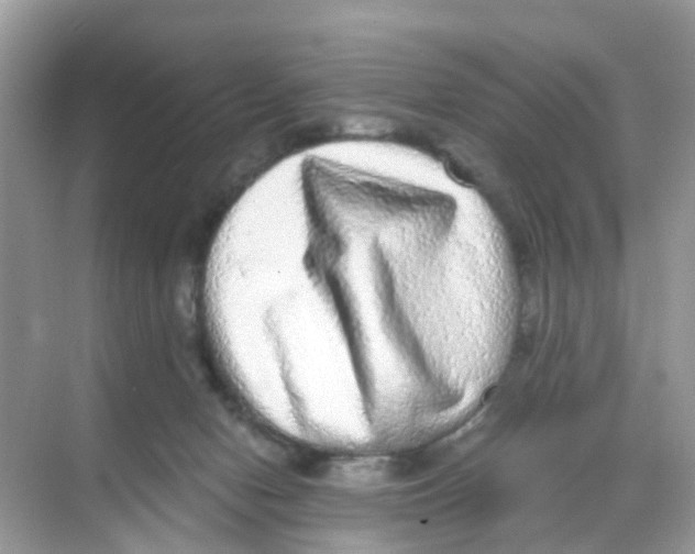 X0000068300078200605122015