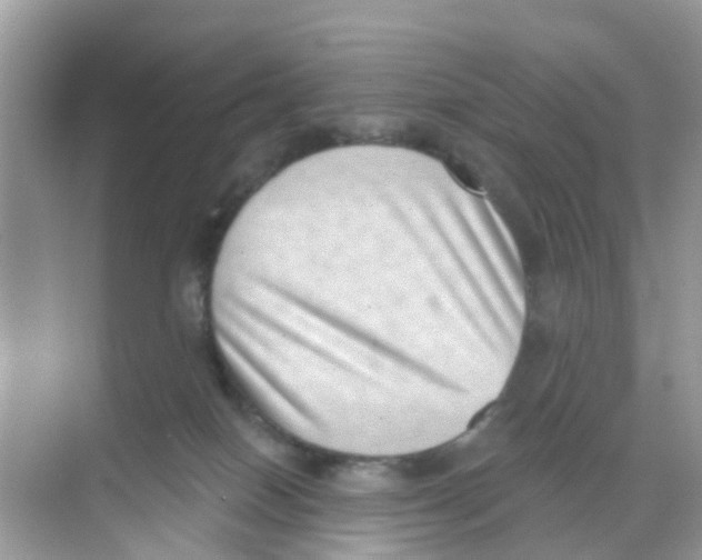 X0000068300086200605122015