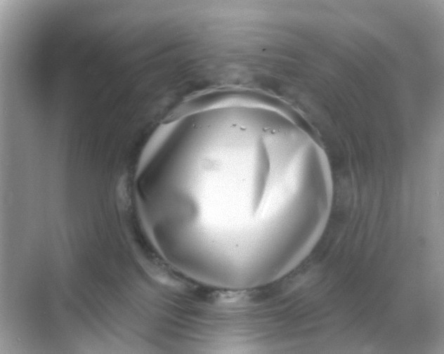 X0000068300088200605122015