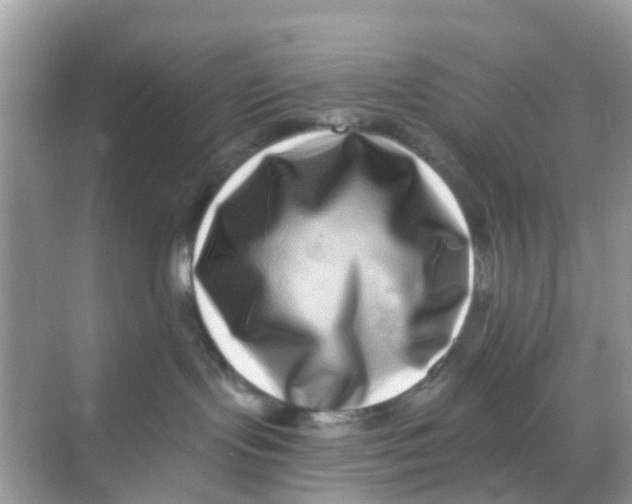 X0000068300095200605122015