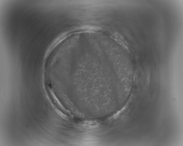 X0000068300101200605122014