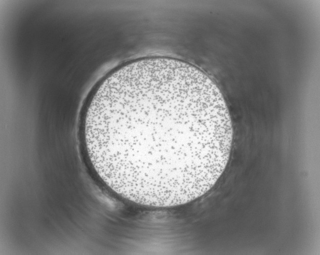 X0000068300104200605122014