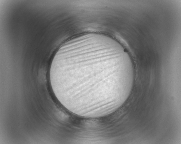 X0000068300106200605122014