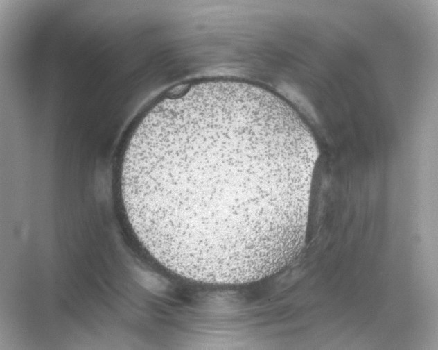 X0000068300108200605122014