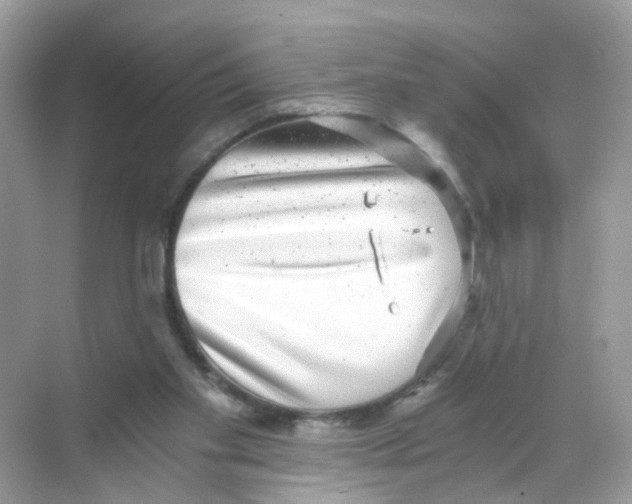X0000068300109200605122014