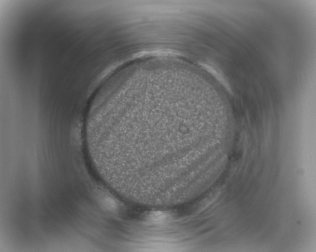 X0000068300111200605122014