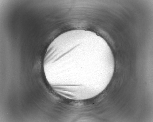 X0000068300113200605122014