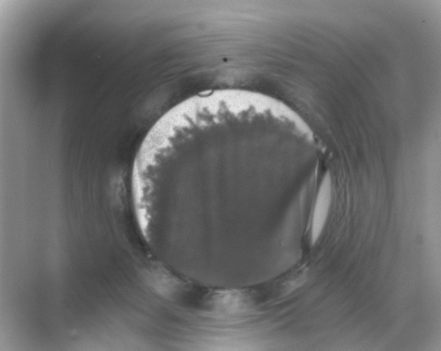 X0000068300127200605122014