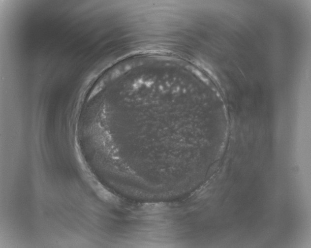 X0000068300145200605122013