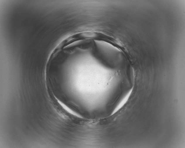 X0000068300148200605122013