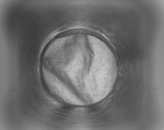 X0000068300152200605122013