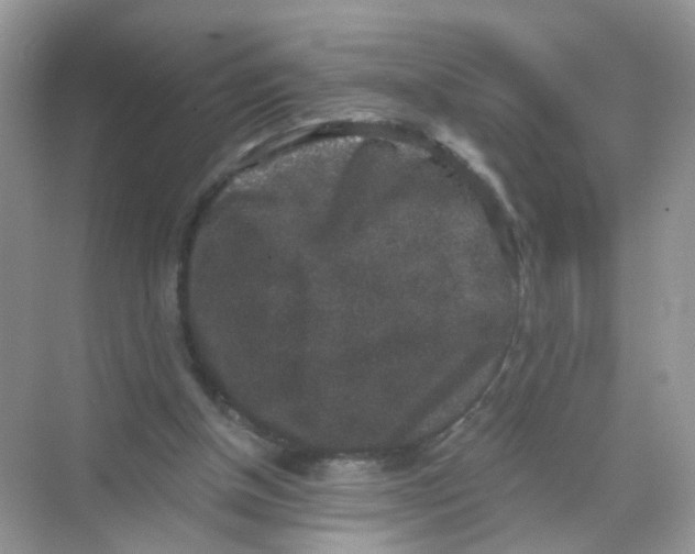 X0000068300154200605122013
