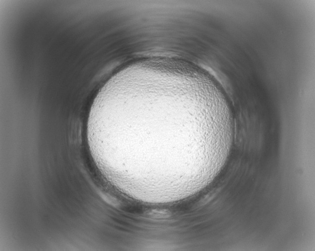 X0000068300157200605122013
