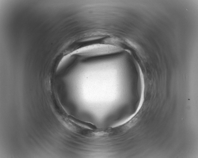 X0000068300158200605122013