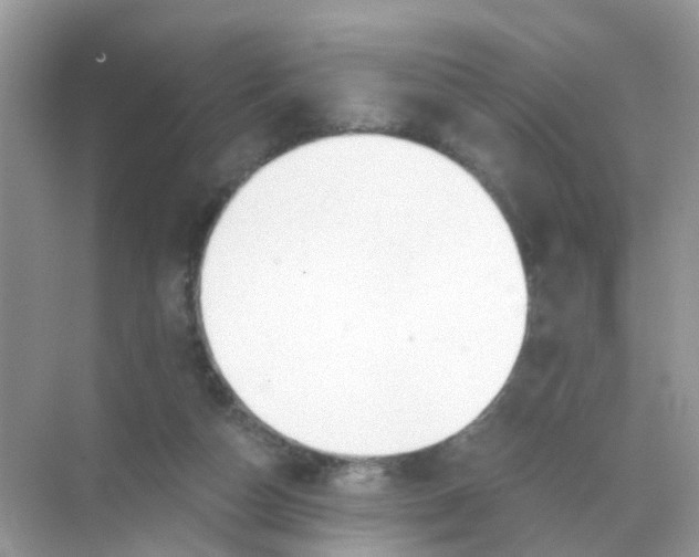 X0000068300162200605122013